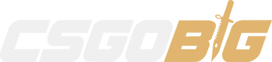 CSGOBig
